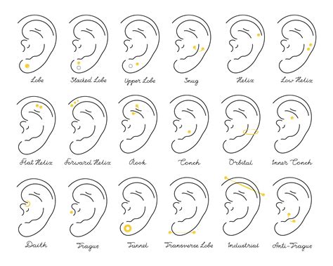piercing weapon figgerits answers|Figgerits A type of ear piercing Answer .